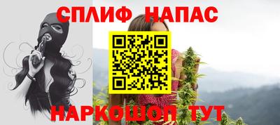 прущие грибы Усть-Илимск