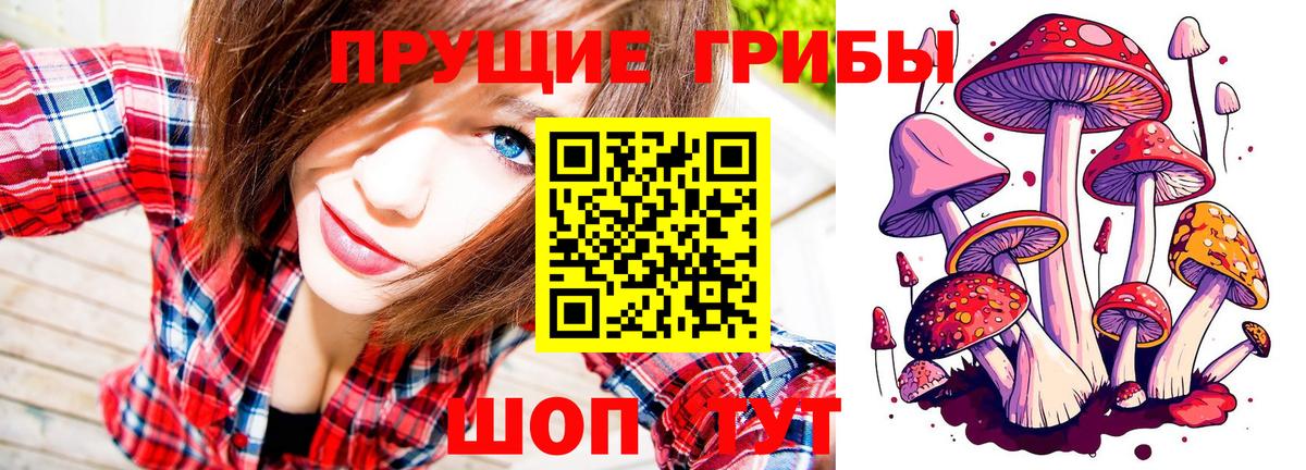 Галлюциногенные грибы мицелий  Вход с VPN  Галлюциногенные грибы MAGIC MUSHROOMS  Алексин 