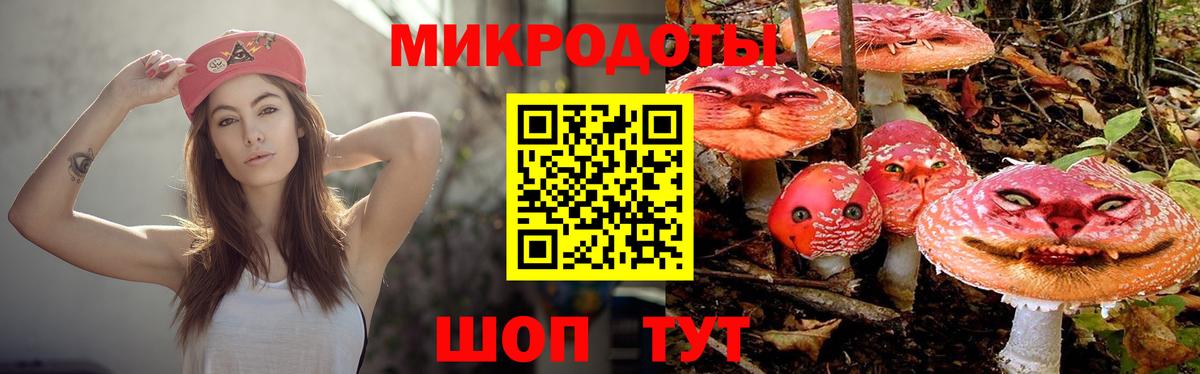 Галлюциногенные грибы MAGIC MUSHROOMS Алексин